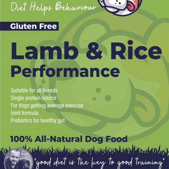 Is lamb and rice good for dogs with allergies best sale